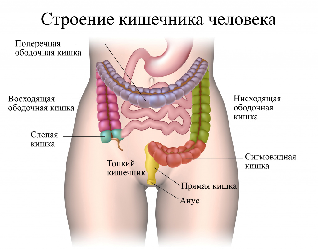 день